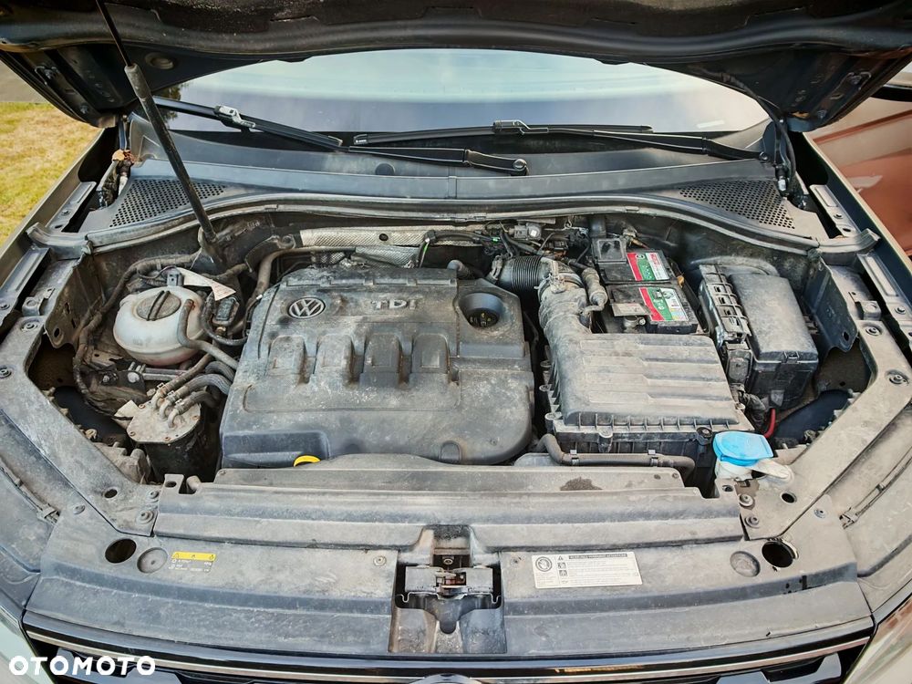 Volkswagen Tiguan - 19