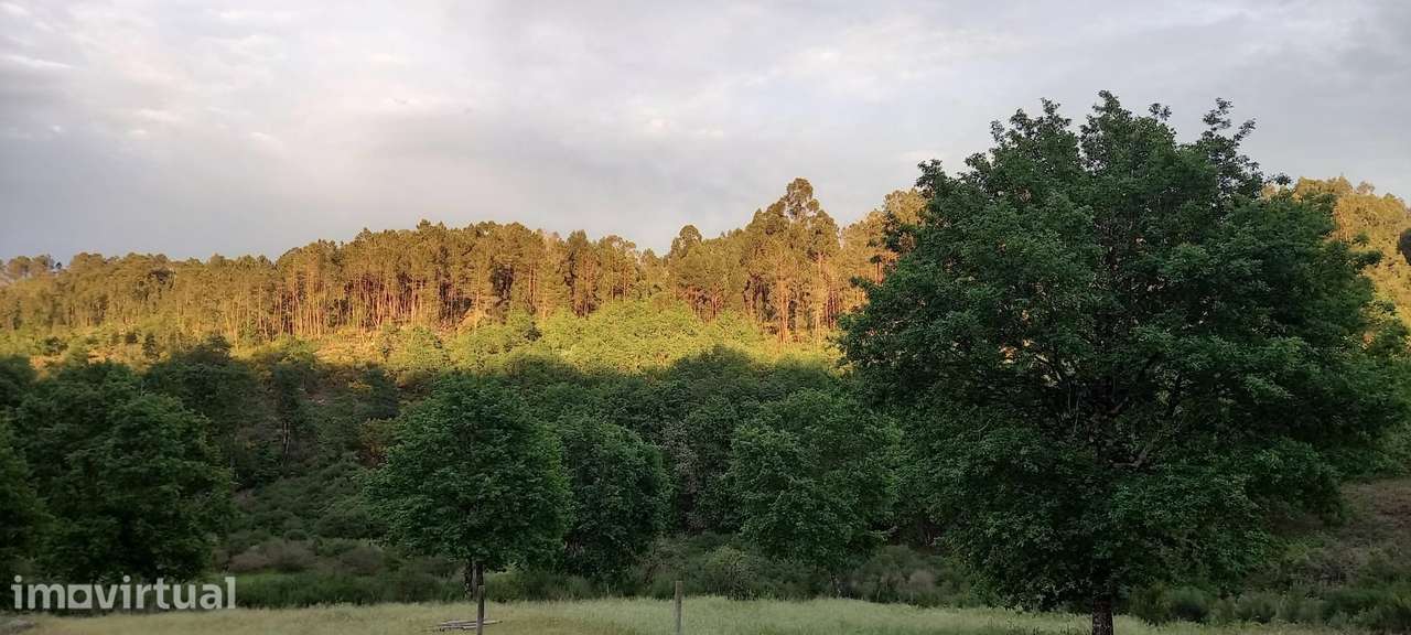 Moradia T2 nova no campo com 3 casas de banho - Grande imagem: 3/15