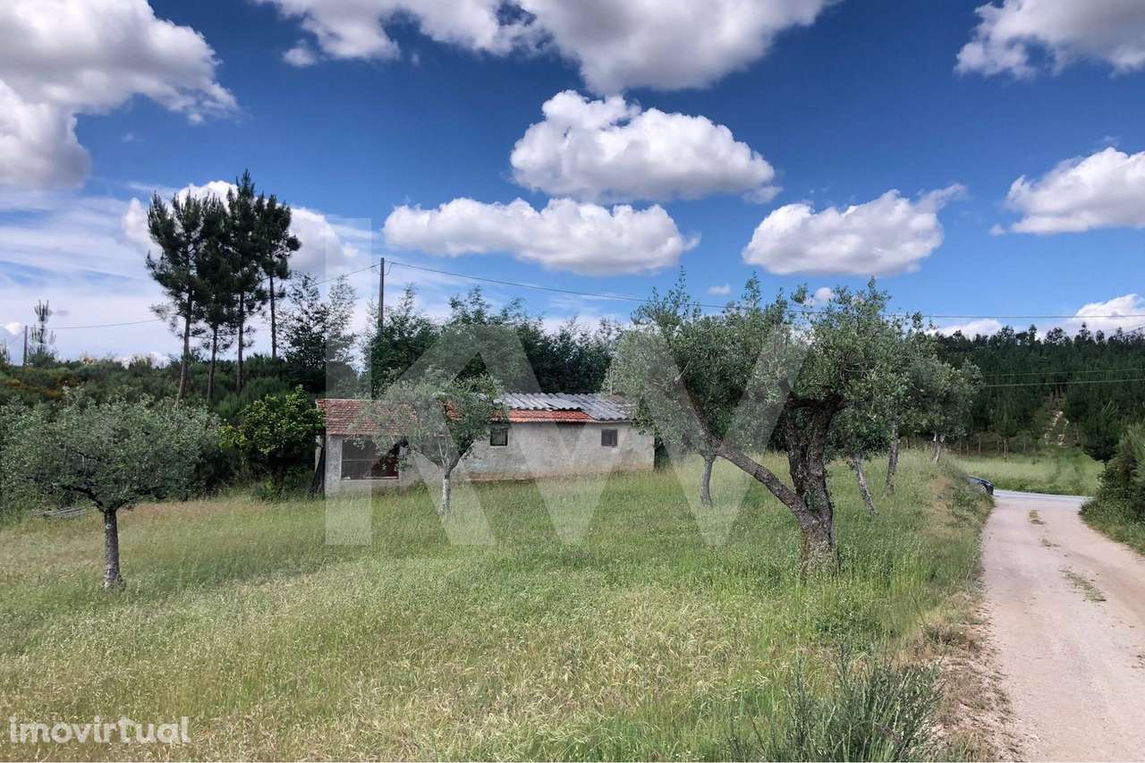 Terreno agrícola com Casa de arrumos para reconstrução | Bom acesso - Grande imagem: 3/11