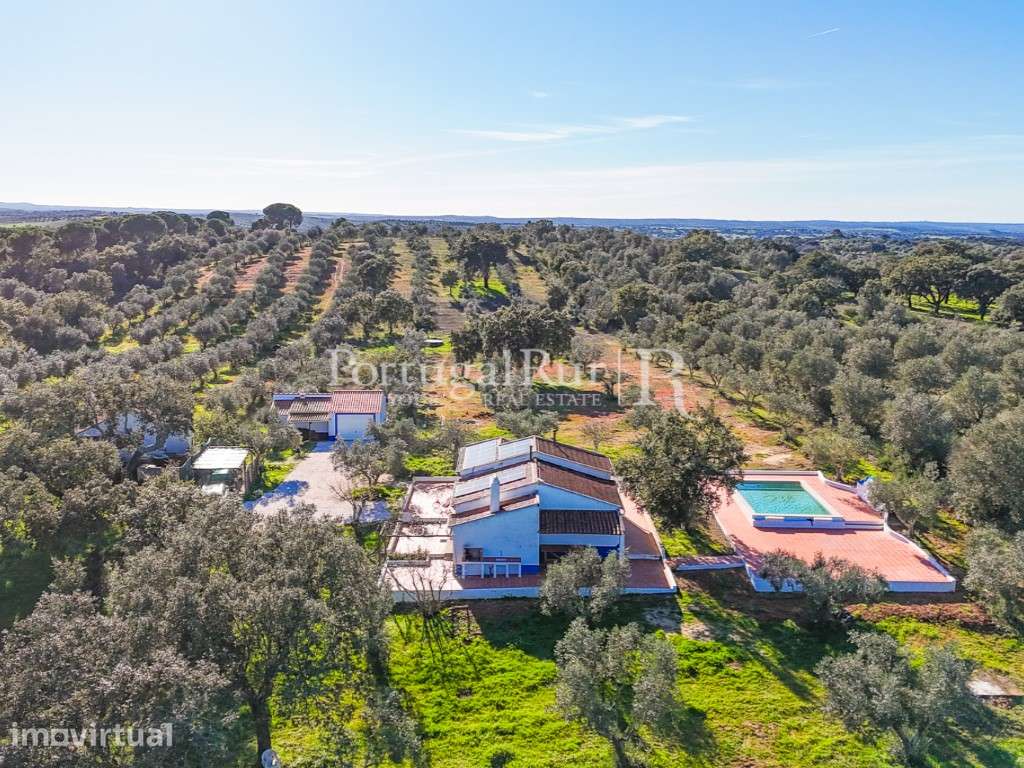 Monte Alentejano T3 auto sustentável com Piscina e Energia Solar - ... - Grande imagem: 4/28