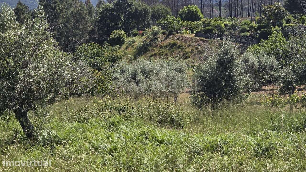 Terreno Rústico / Fundão, Souto da Casa - Grande imagem: 4/4