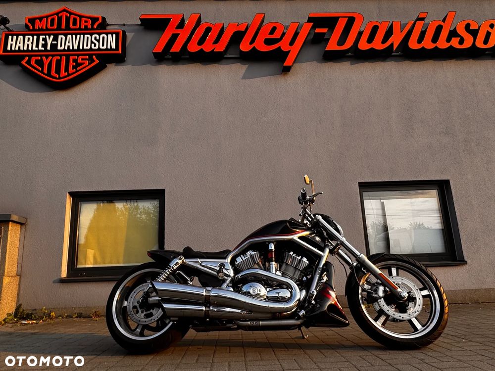 Harley-Davidson V-Rod Street Rod - 1