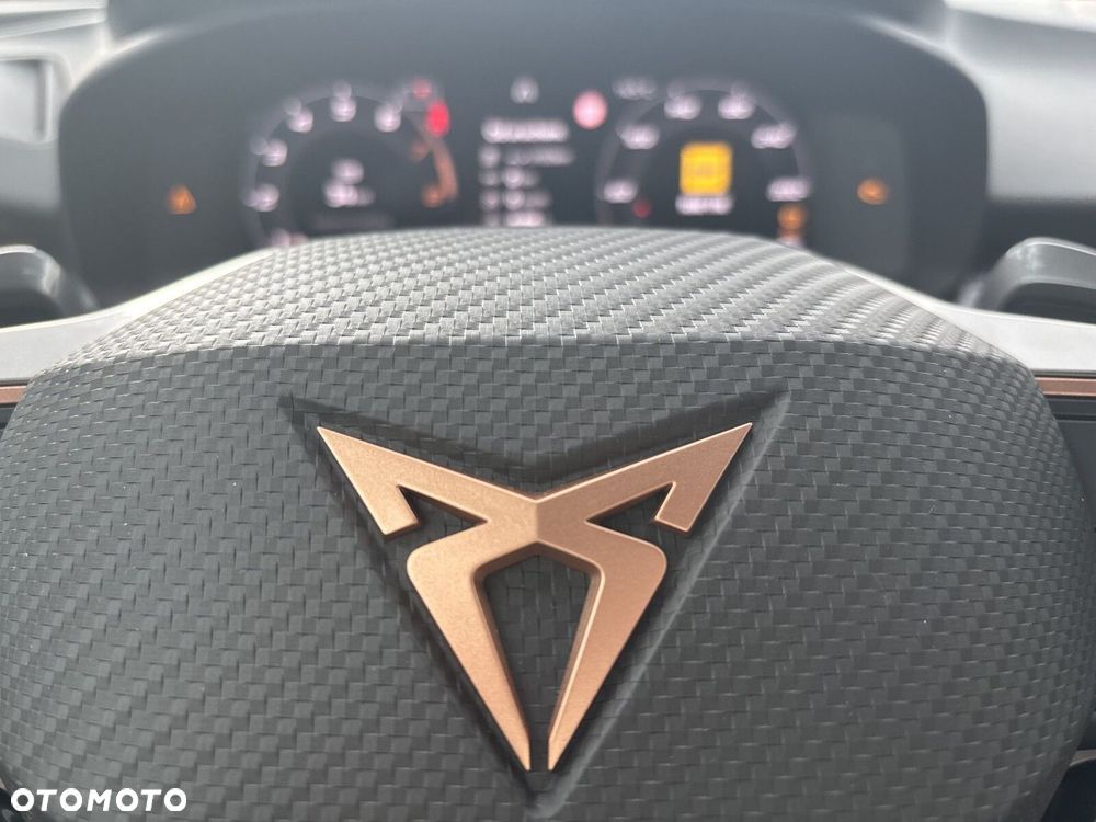 Cupra Terramar 1.5 eTSI mHEV Advantage Edition DSG - 21