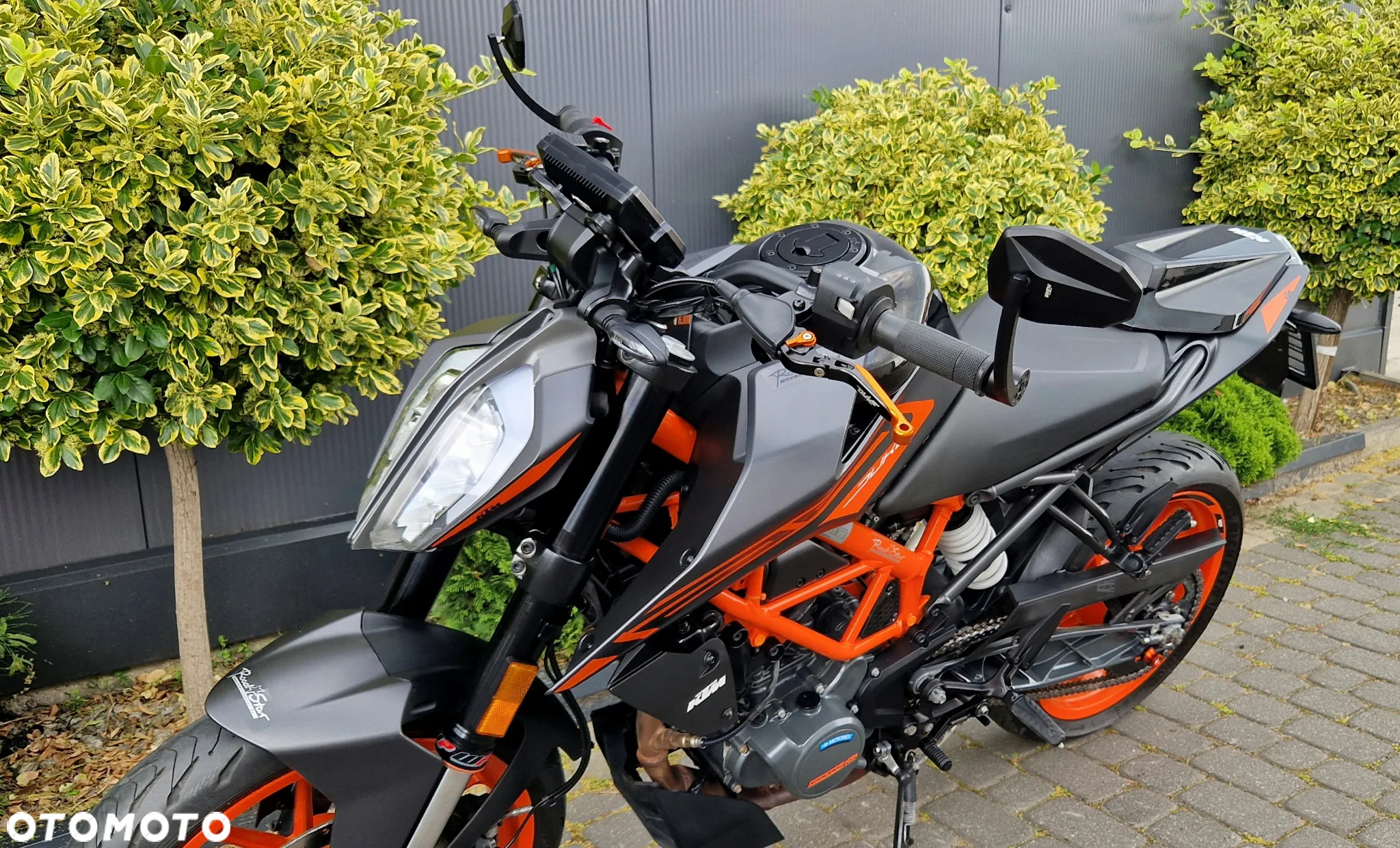 KTM Duke - 29