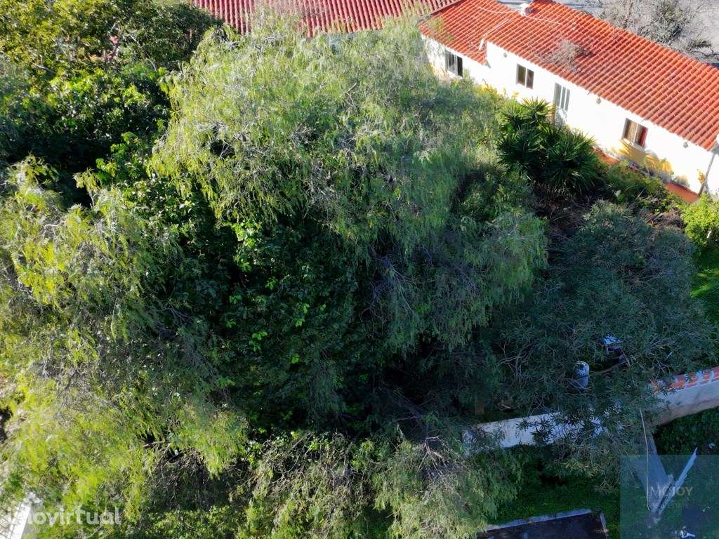 Terreno Exclusivo na Bemposta em Portimão - Grande imagem: 5/14