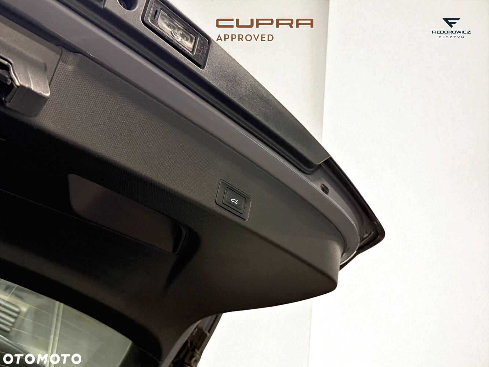 Cupra Terramar 2.0 TSI 4Drive VZ DSG - 11
