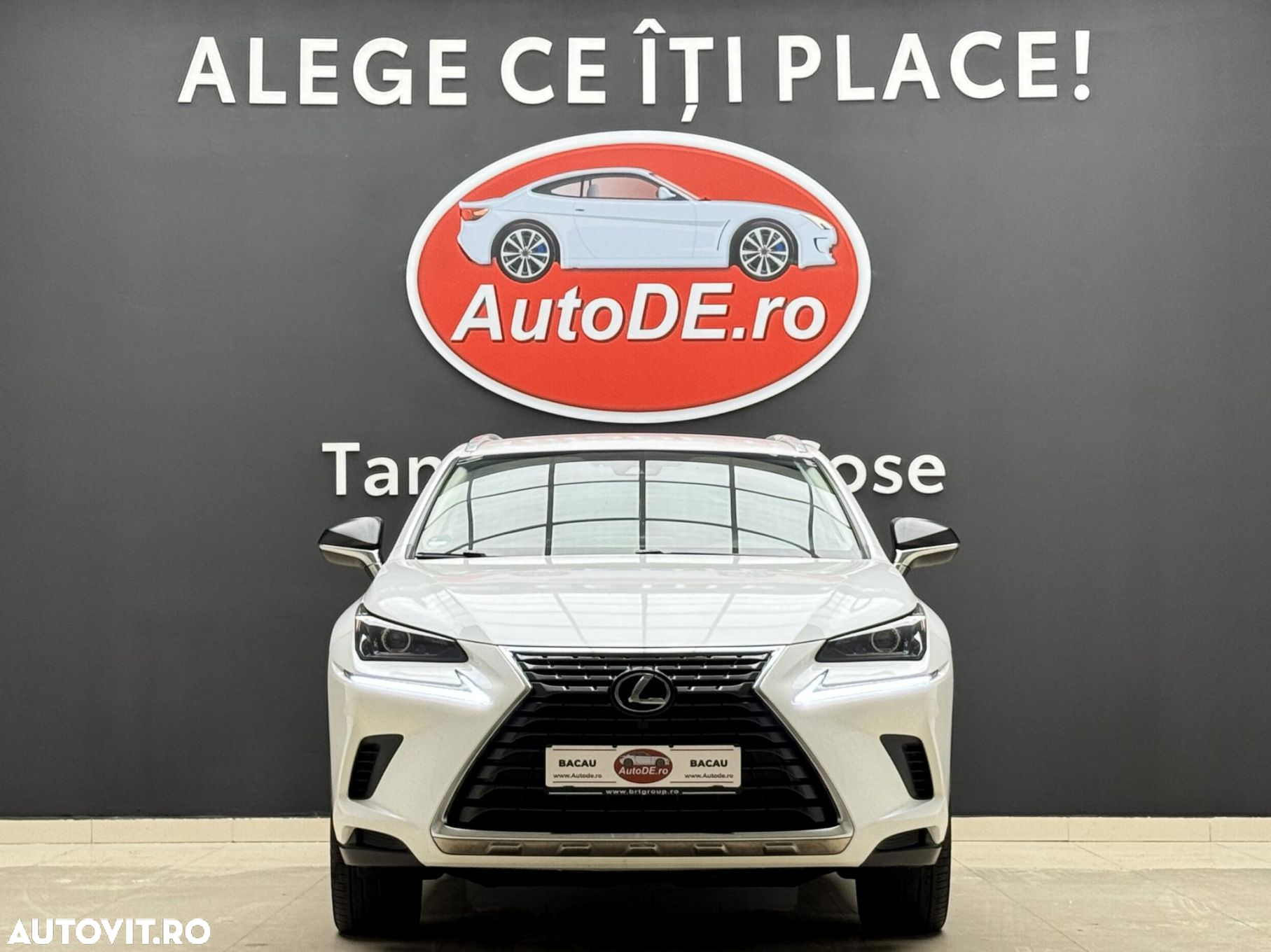 Lexus Seria NX - 2