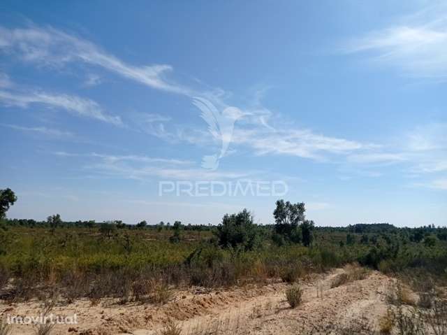 HERDADE 44 hectares em Margem, Gavião - Grande imagem: 2/16