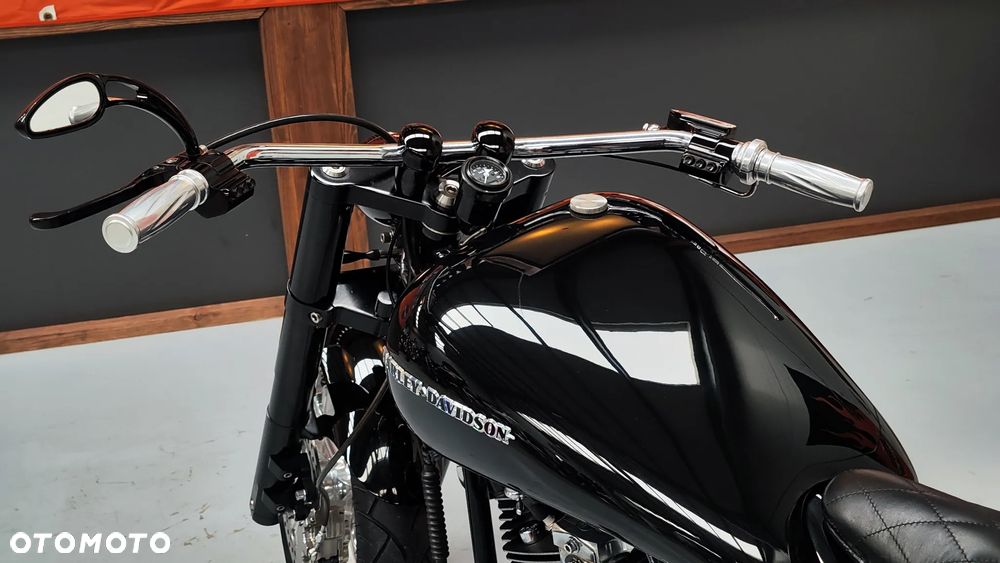 Harley-Davidson Softail - 31