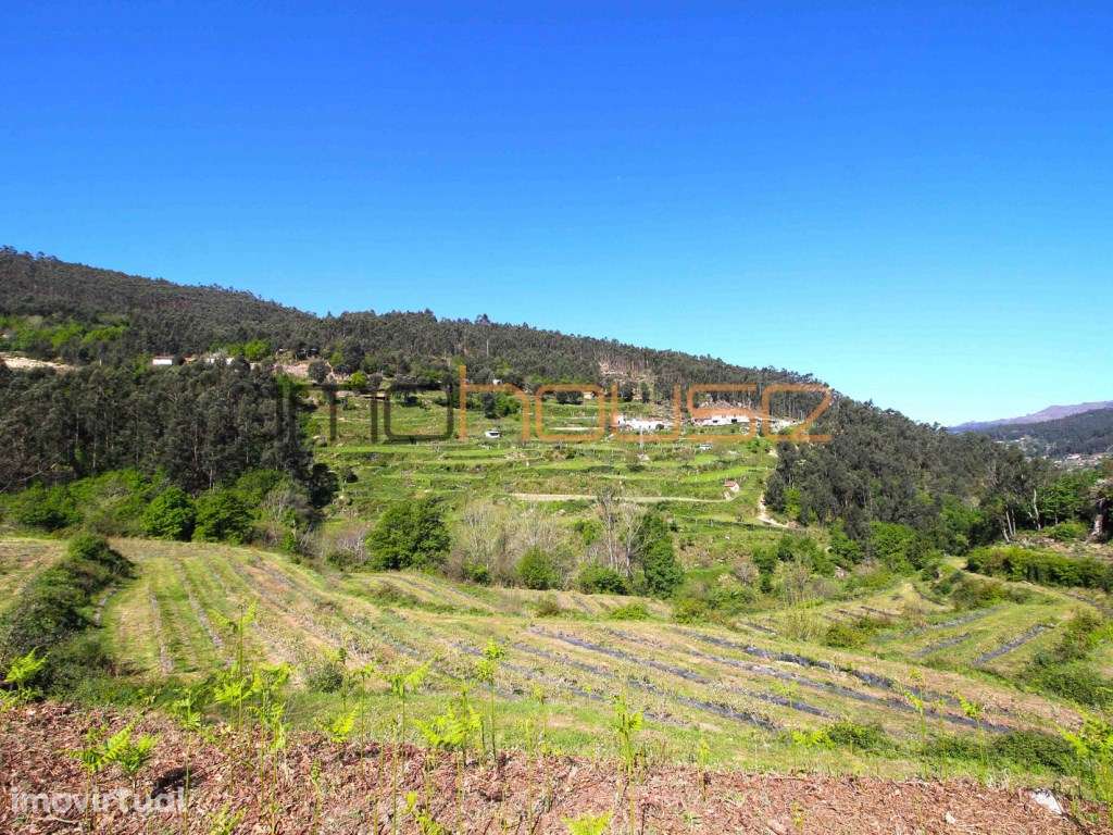 Quinta de 5.6 ha - Varias edificações, ribeiro e vista Douro - Grande imagem: 2/38