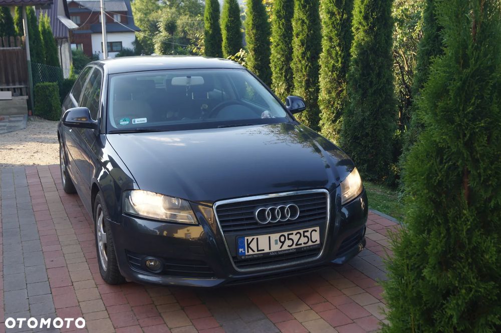 Audi A3 3-drzwiowe 2.0 TDI Attraction - 13