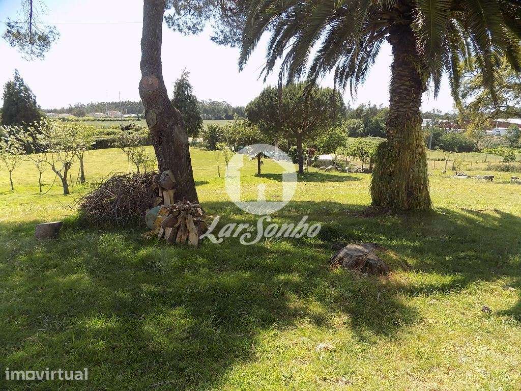 Moradia M3 c/ terreno de 8.231 m2 em Guilhabreu, Vila do Conde - Grande imagem: 2/9