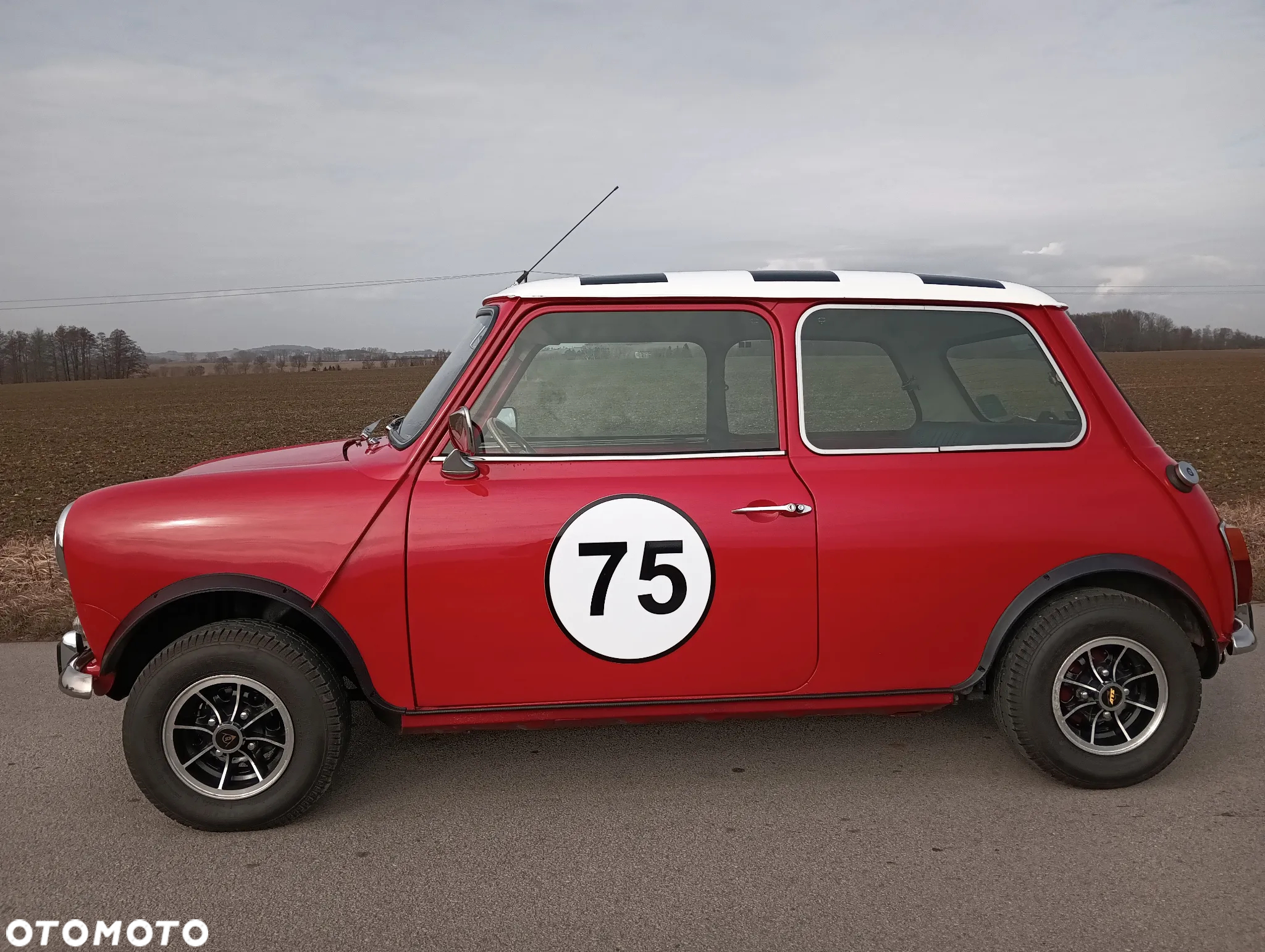 MINI 1000 - 7