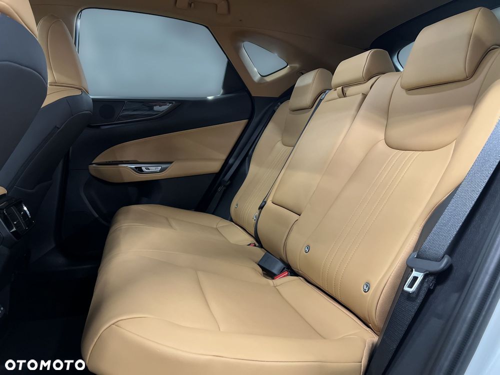 Lexus NX - 15