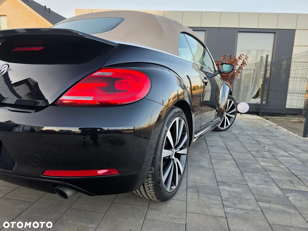 Volkswagen Beetle - 17