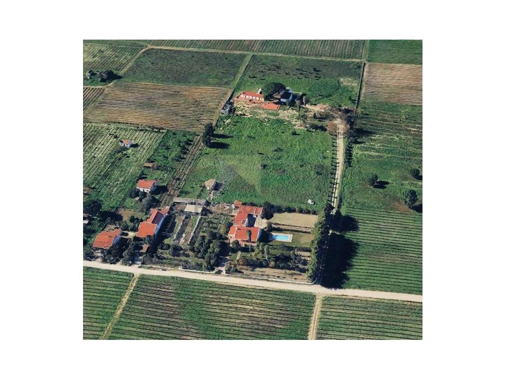 LOTE DE TERRENO COM 6000M2 - ENTRE PINHAL NOVO E PALMELA - Grande imagem: 3/8