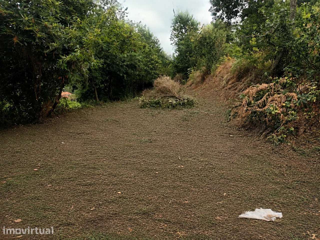 Terreno Grovelas, Ponte da Barca - Grande imagem: 4/11