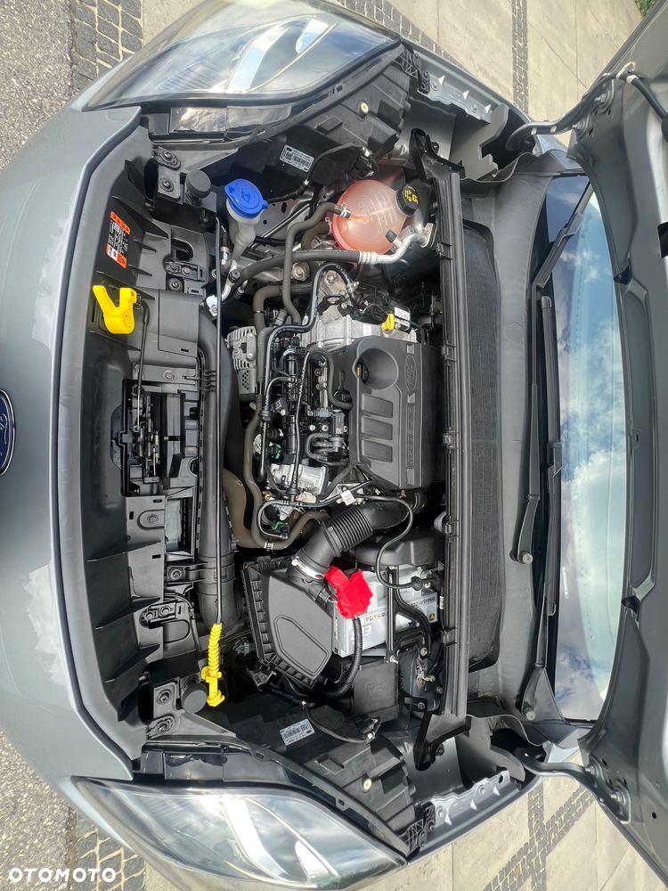 Ford Puma 1.0 EcoBoost Hybrid COOL & CONNECT - 16