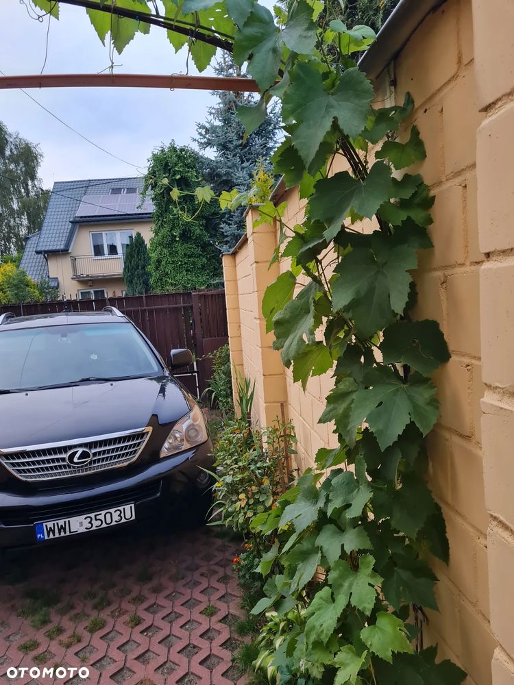 Lexus RX 400h Prestige + - 13