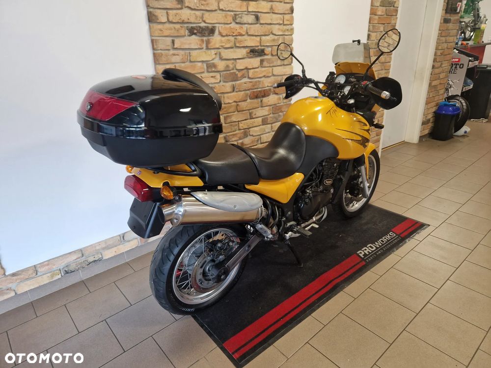 Triumph Tiger - 14