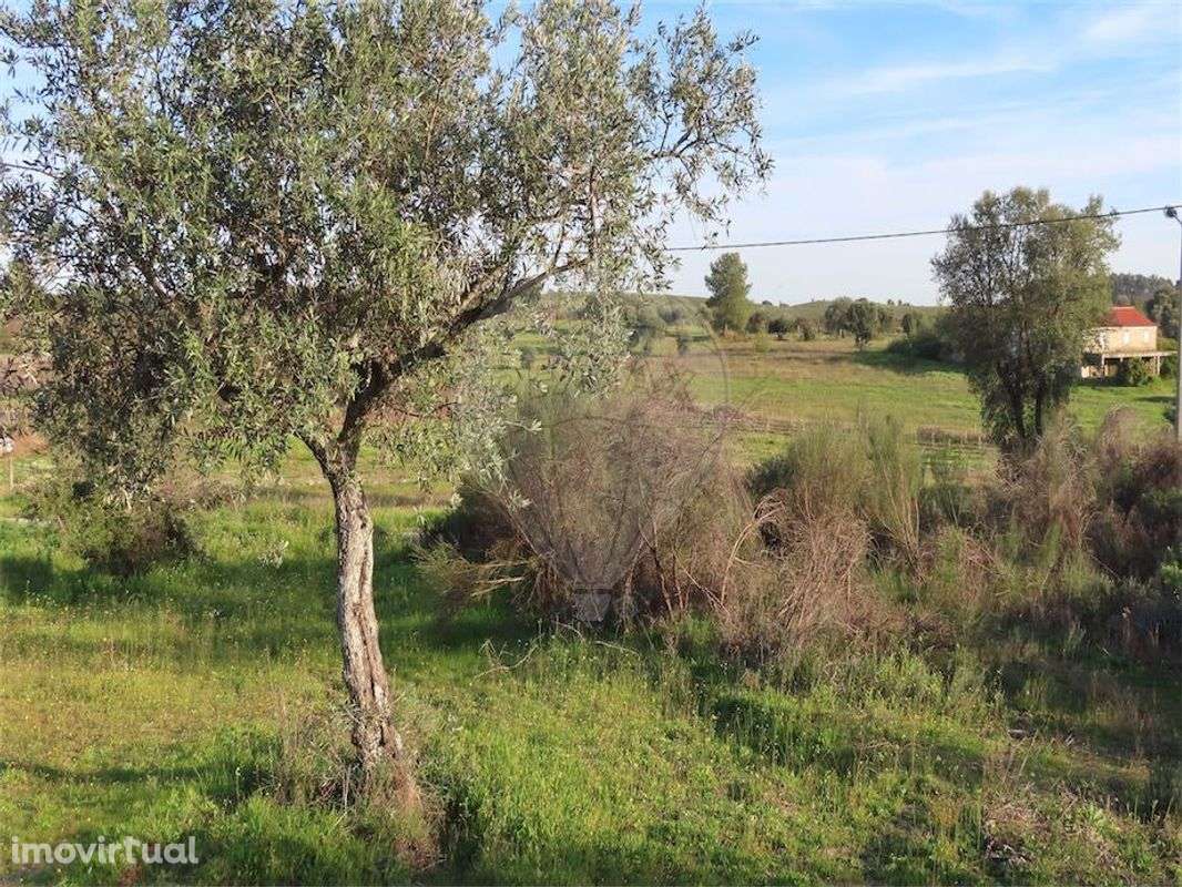 Quinta  para venda - Grande imagem: 5/30