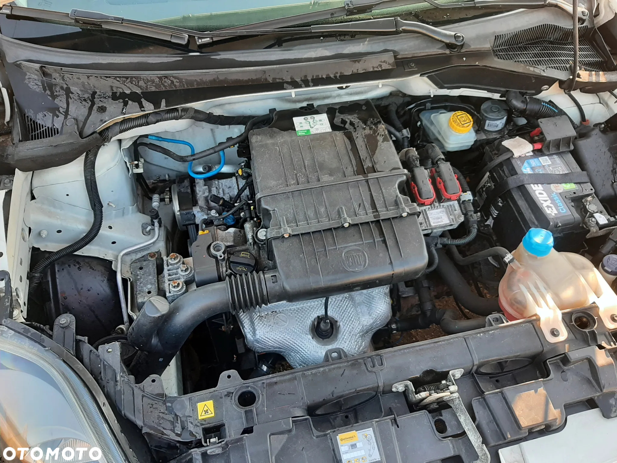 Fiat Punto - 19