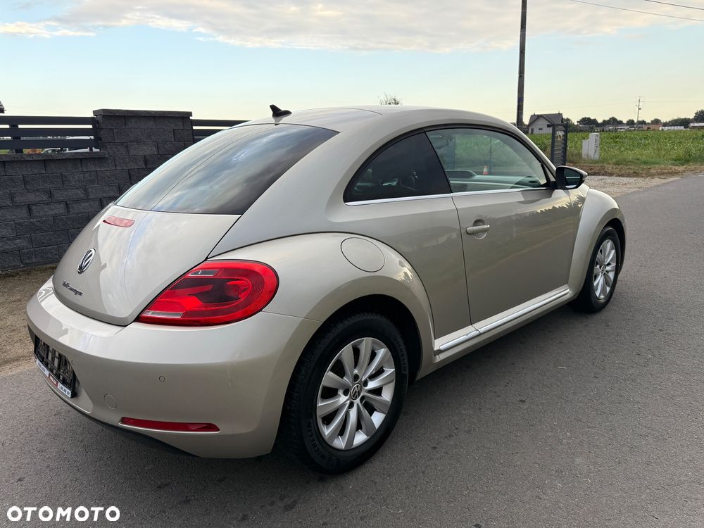 Volkswagen Beetle - 3