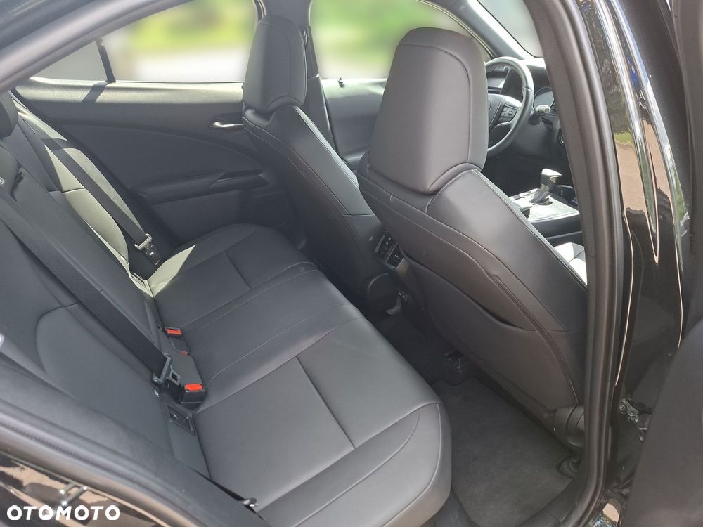 Lexus UX 250h GPF F Sport Design 2WD - 18