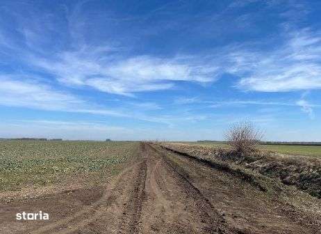 Cota 1/2 teren extravilan. Loc. Dor Marunt, Jud. Calarasi - Imagine principală: 2/6