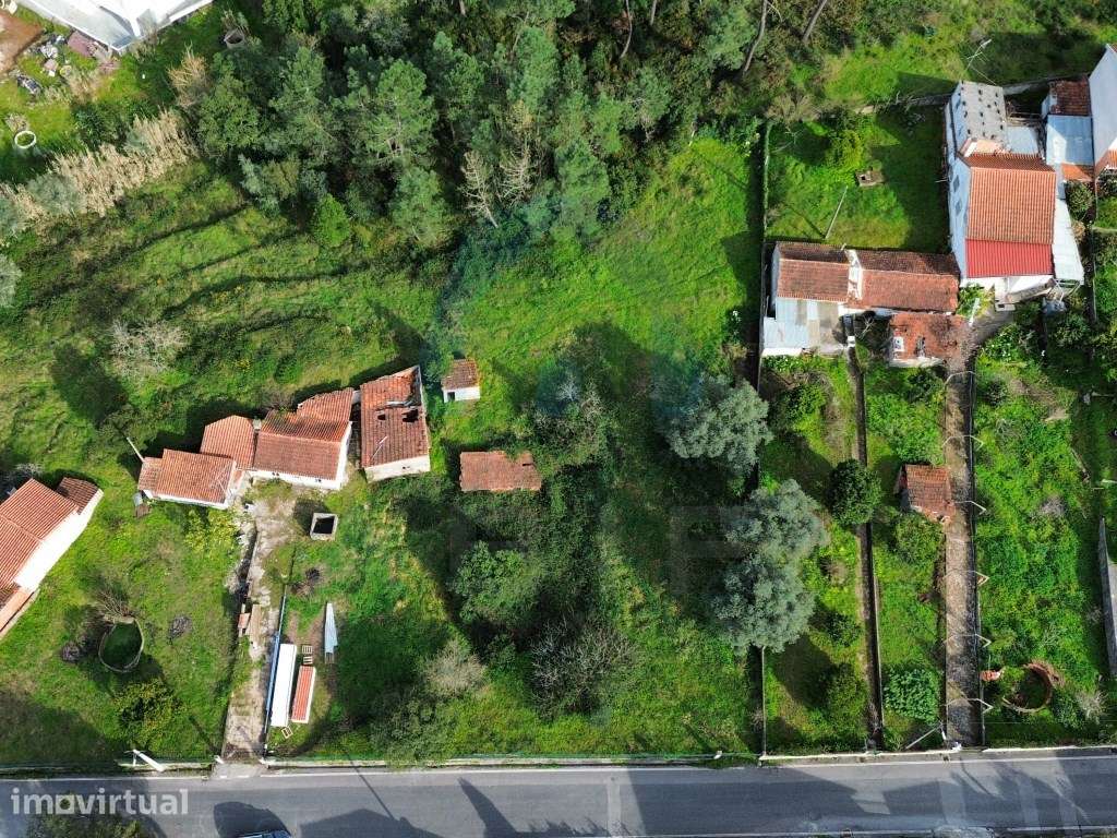 Terreno para Construção em Brasfemes - Coimbra - Grande imagem: 3/13