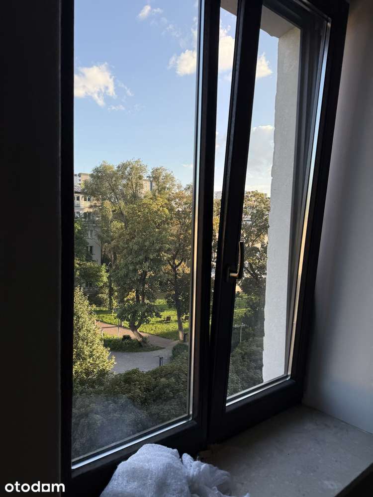 Ciche w otoczeniu drzew z dobrym klimatem.