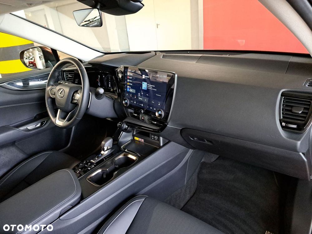 Lexus NX - 18