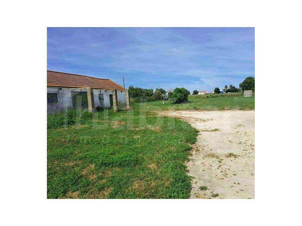 Armazém 278 m² + Adega com Terreno Urbano de 4.516 m² - Benavente - Grande imagem: 2/4