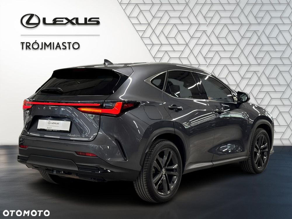 Lexus NX - 6