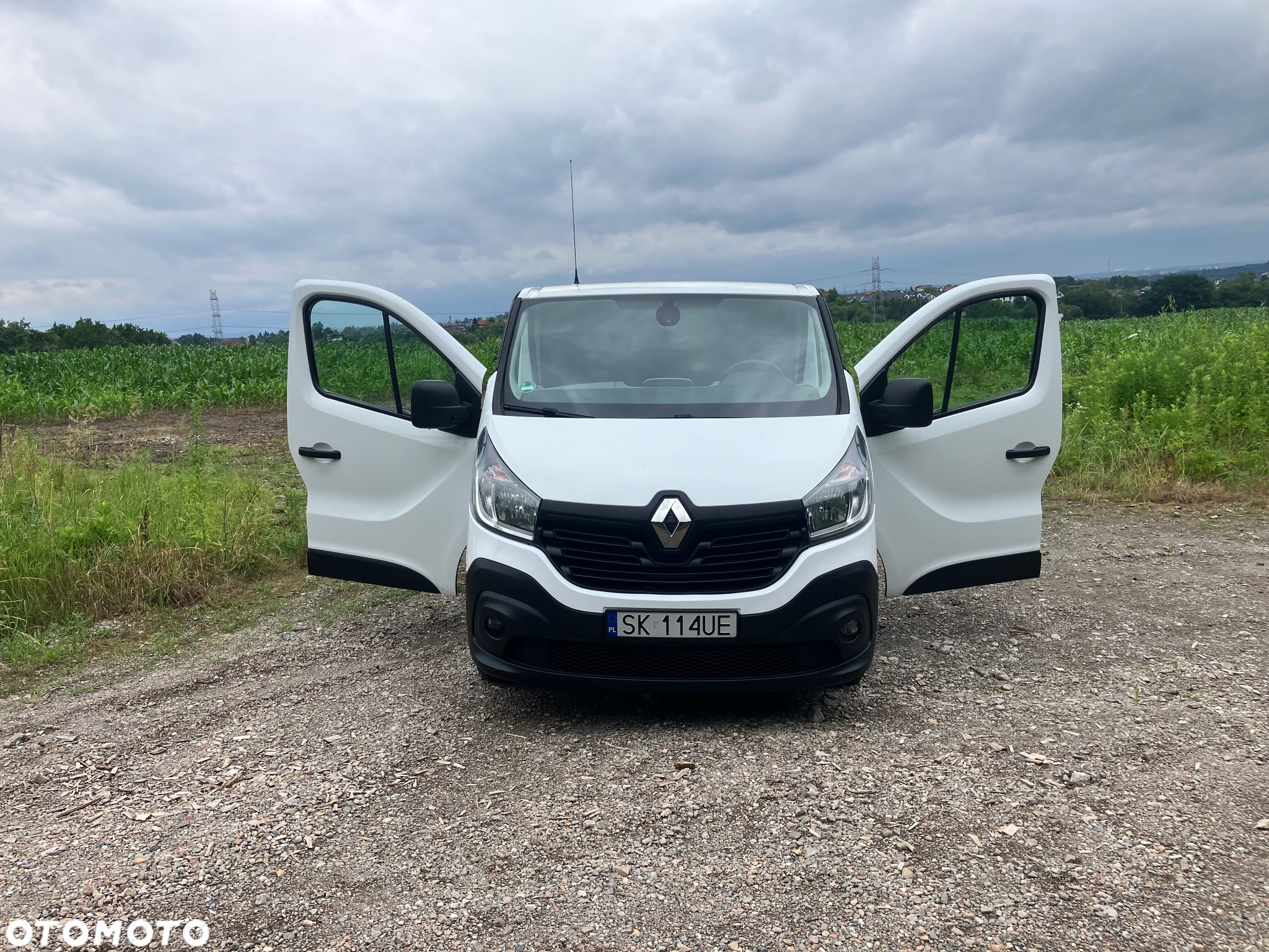 Renault Trafic Long - 20