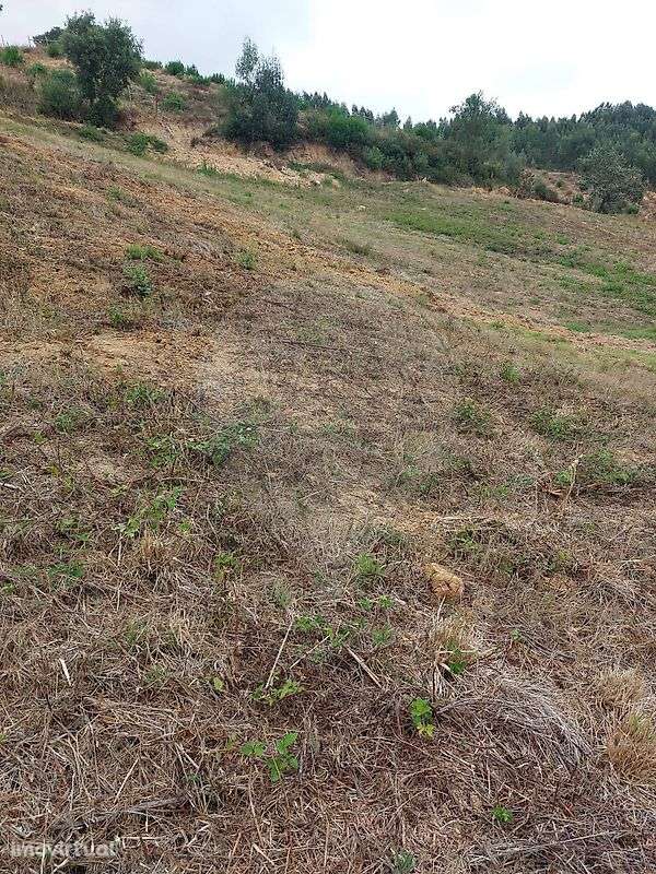 Terreno  para venda - Grande imagem: 3/20