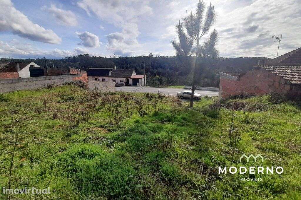 Terreno Urbano e Terreno Rústico – Machuqueira, Carnide, Pombal - Grande imagem: 4/12