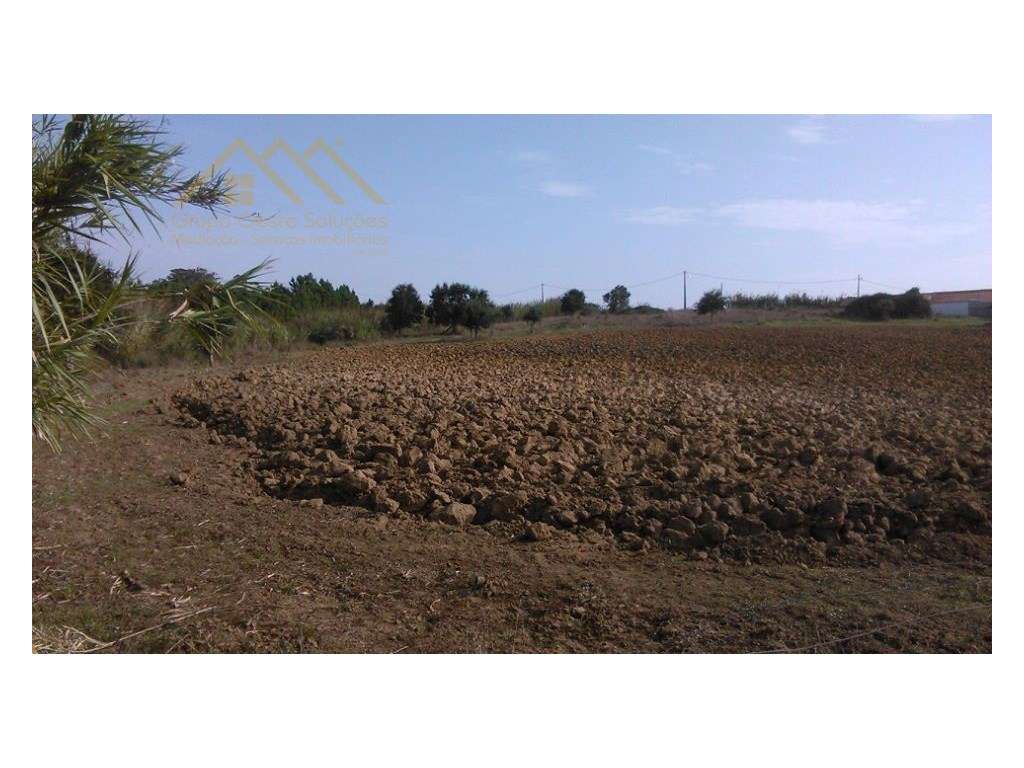 Terreno Agrícola c/ área 12320m2 - Grande imagem: 2/3