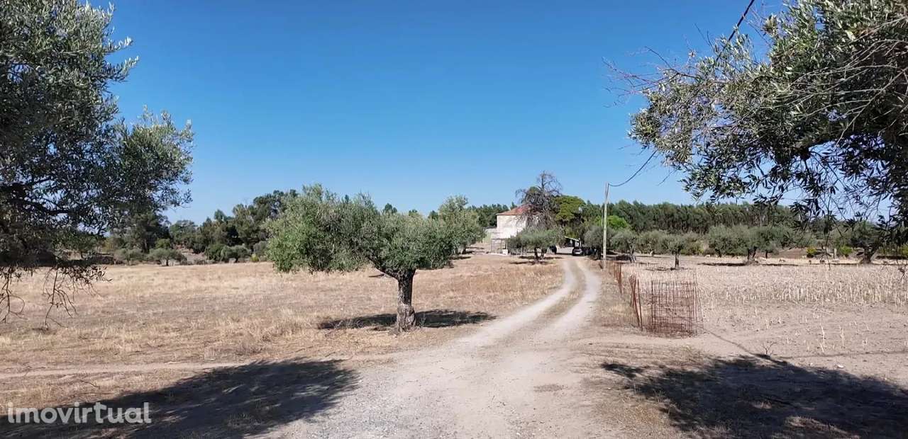 Oportunidade! Quinta S. Bartolomeu, Castelo Branco - Grande imagem: 2/20