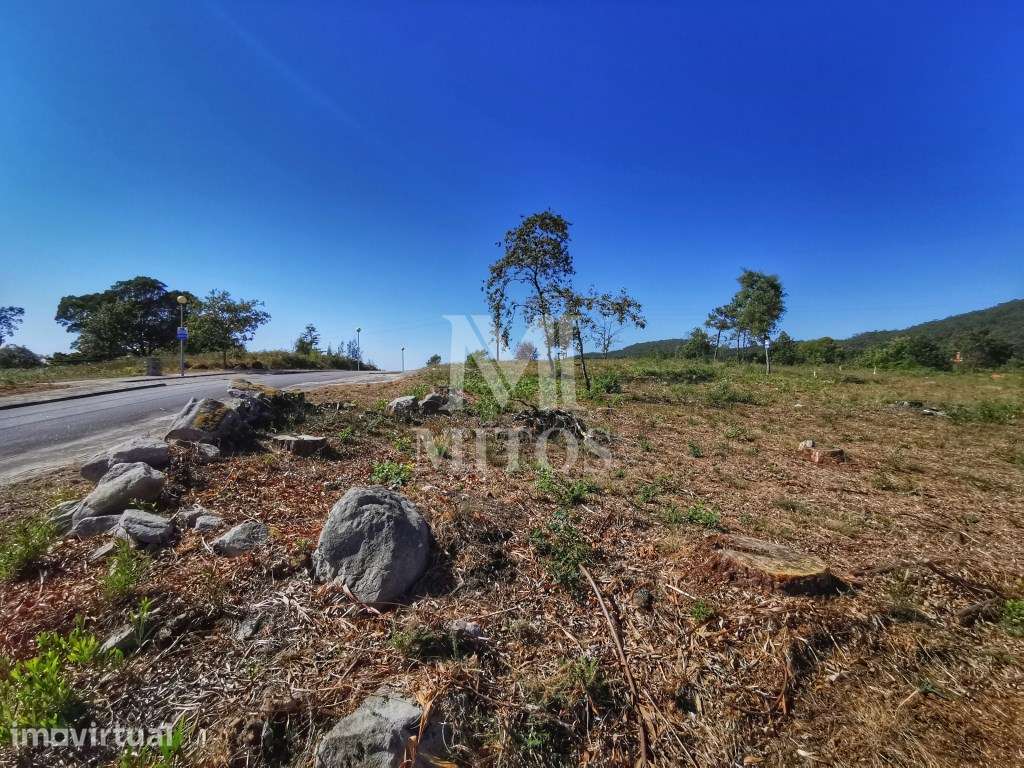 Lote para construção - Afife - Grande imagem: 3/8