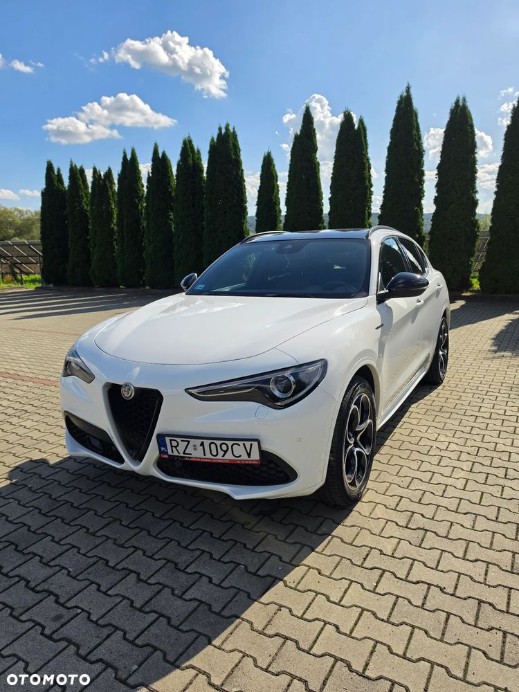 Alfa Romeo Stelvio 2.0 Turbo Veloce Q4 - 3