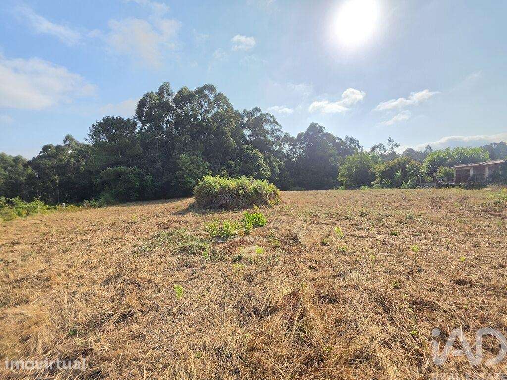 Terreno em Reboreda e Nogueira - Grande imagem: 2/3