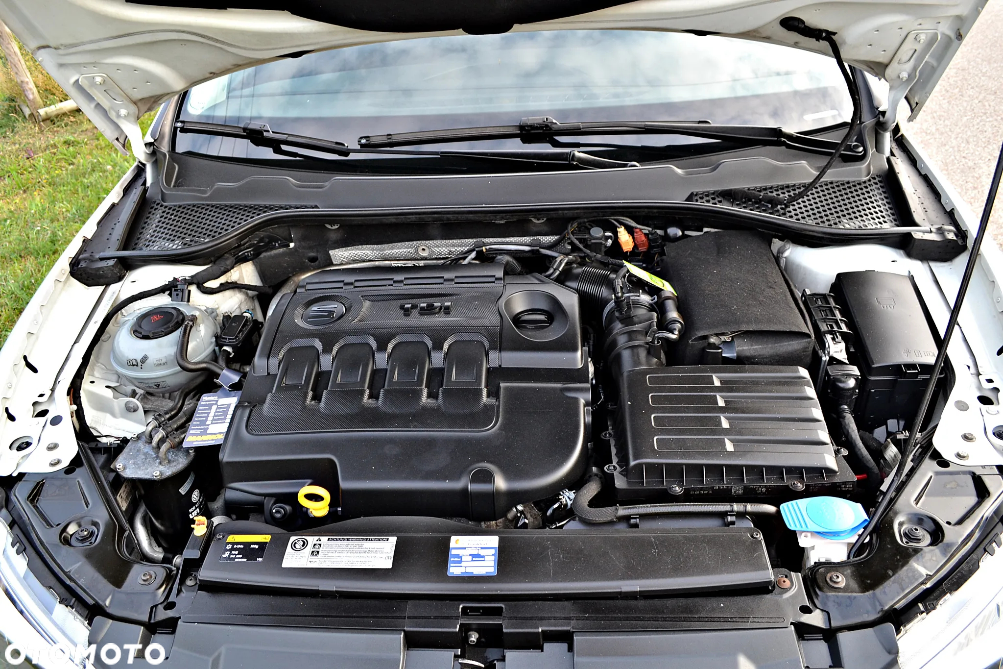 Seat Leon 2.0 TDI DPF DSG FR - 40