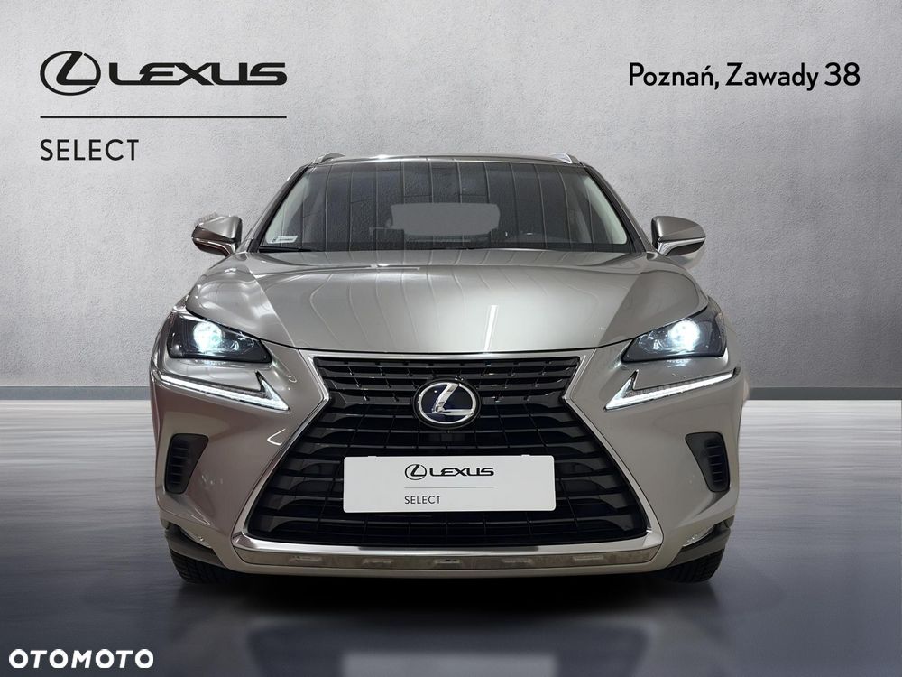 Lexus NX 300h Comfort AWD - 6