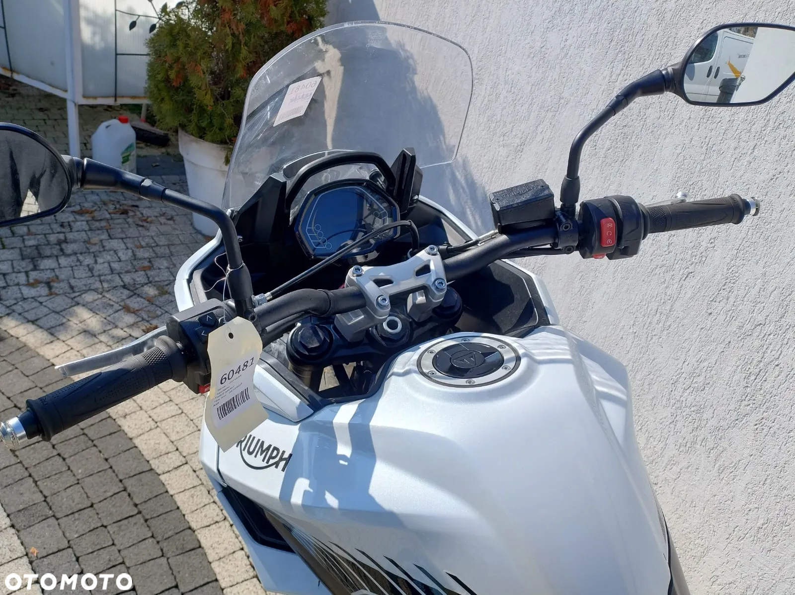 Triumph Tiger - 9