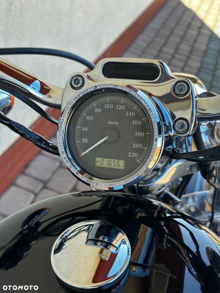 Harley-Davidson Inny - 16