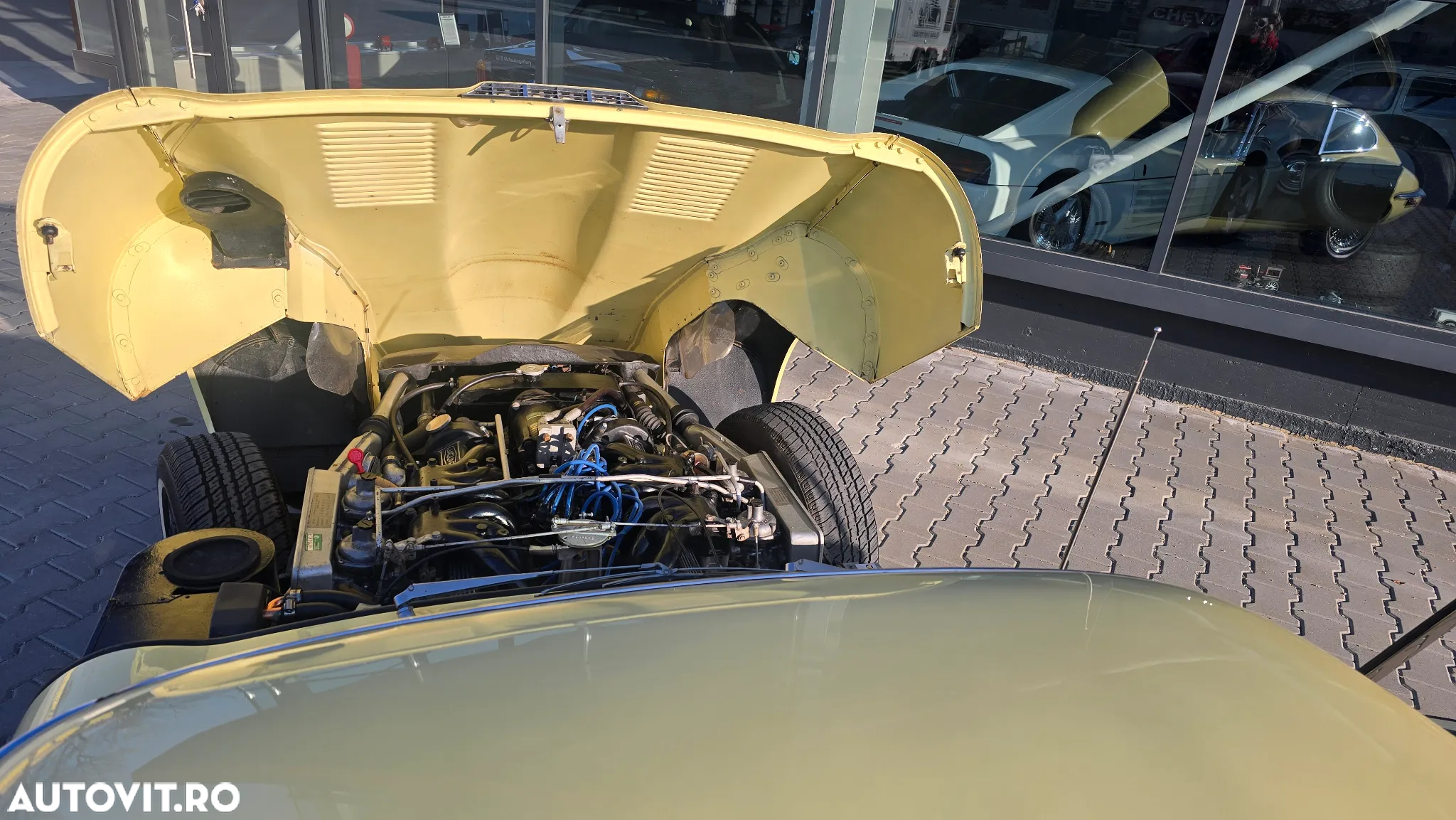 Jaguar E-Type - 33