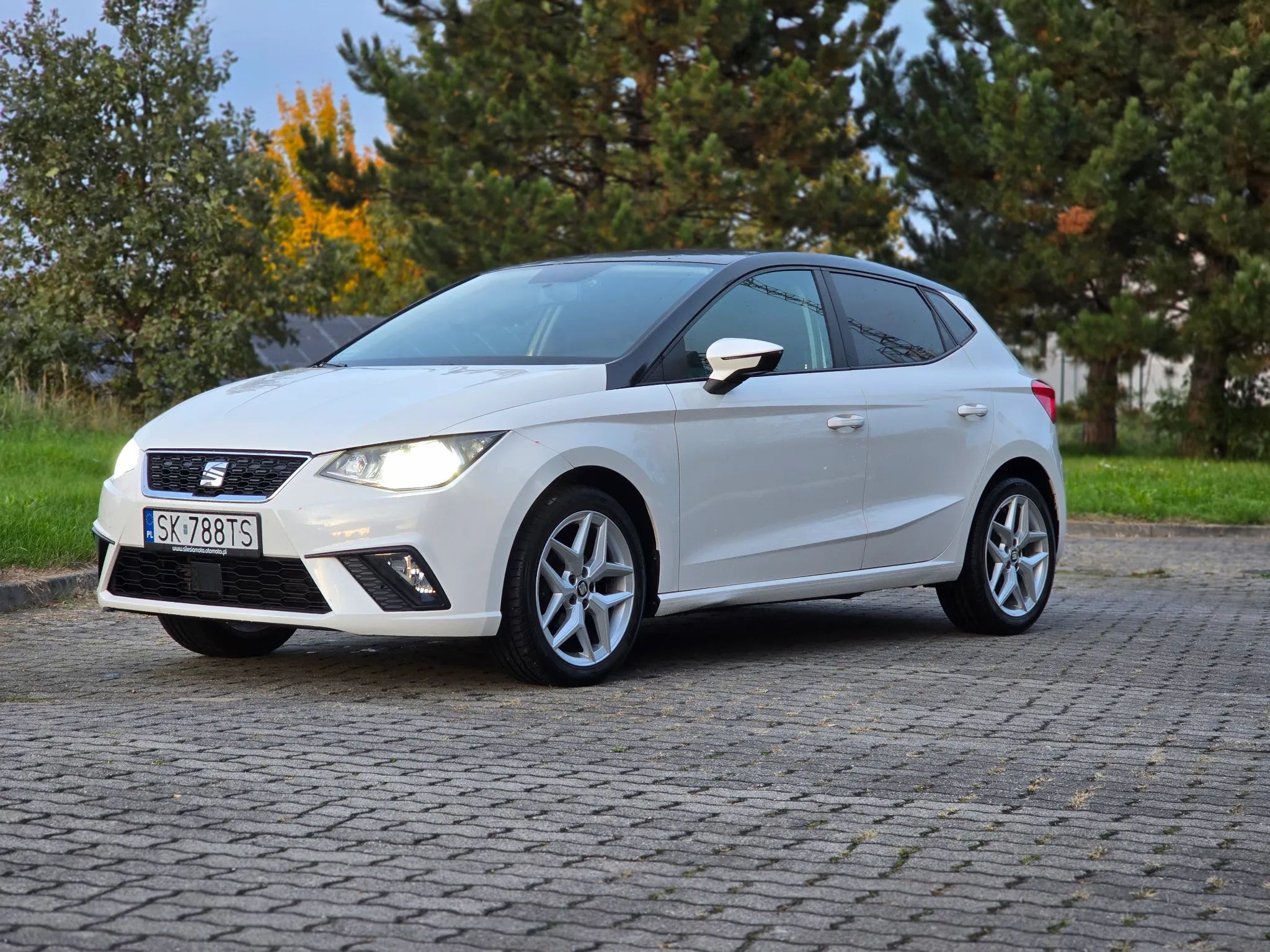 Seat Ibiza - 1