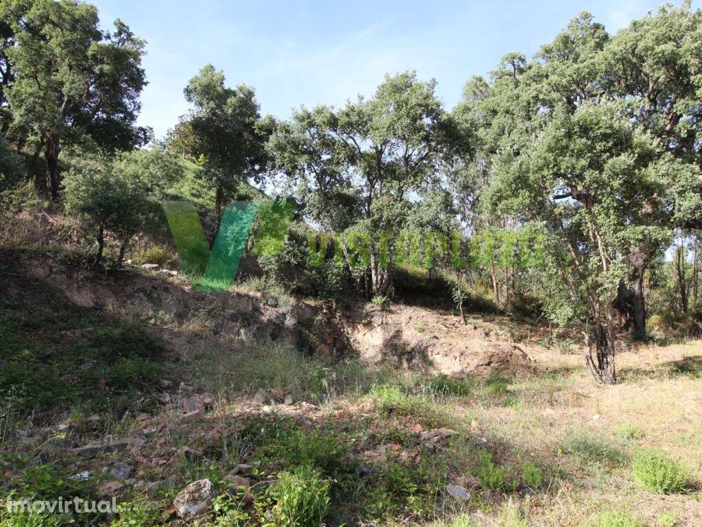 Terreno Misto, com Ruína, Monchique, Algarve - Grande imagem: 2/10