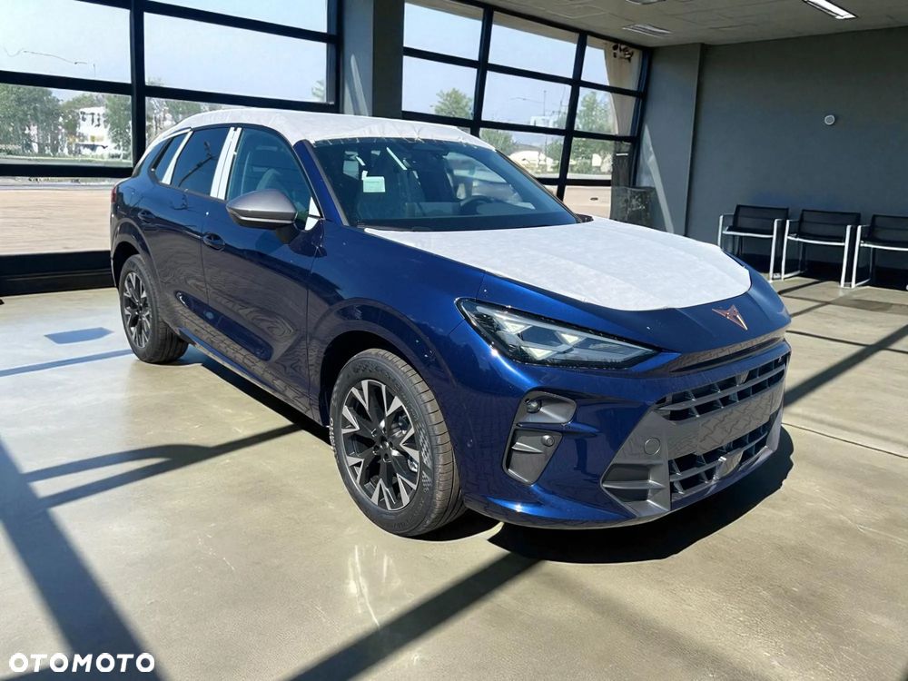 Cupra Terramar - 19